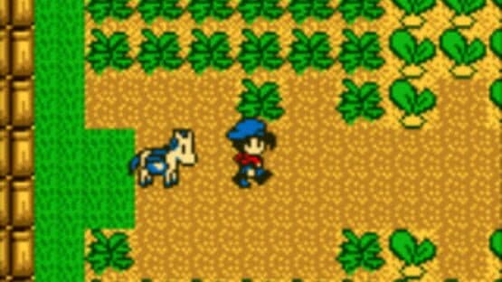 Harvest Moon GB — screenshot 1