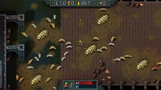 Hammerwatch — screenshot 4