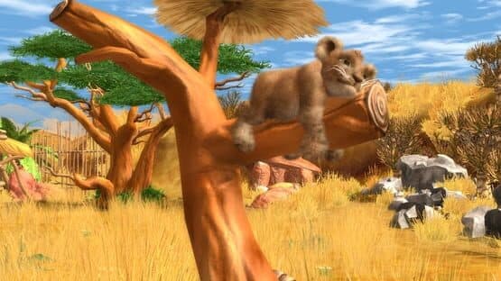 Wildlife Camp — screenshot 1