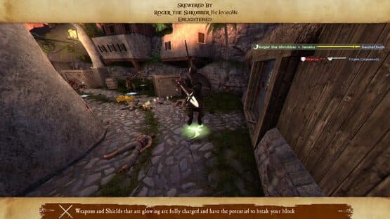 Pirates, Vikings, and Knights II — screenshot 3
