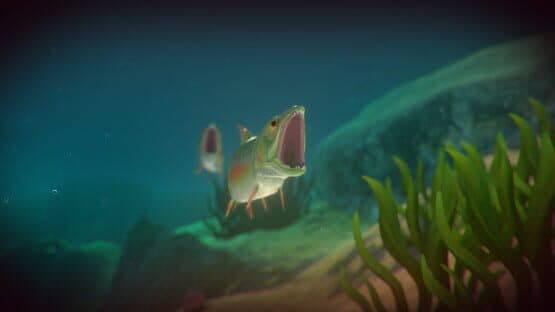 Feed and Grow: Fish — screenshot 4