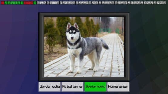 Test your knowledge: Dogs — screenshot 2