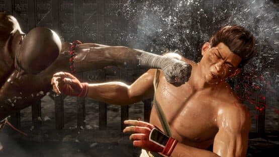 Dead or Alive 6 — screenshot 3