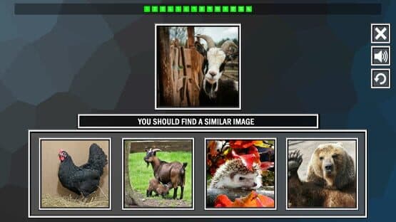 Repeat the image: Animals — screenshot 3