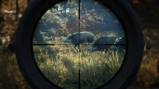 TheHunter: Call of the Wild — screenshot 6