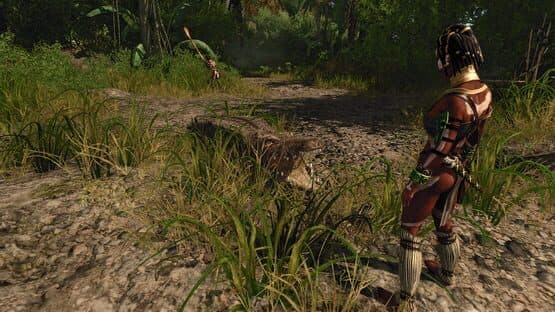 Risen 2: Dark Waters — screenshot 2