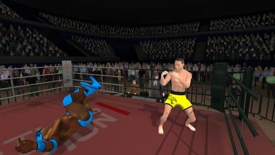 Wrestlers Without Boundaries — screenshot 2