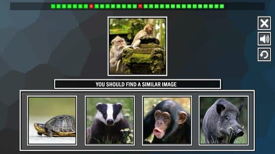 Repeat the image: Animals — screenshot 5
