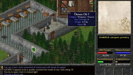 Eschalon: Book I — screenshot 4