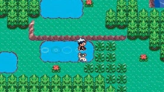 Pokémon Sapphire Version — screenshot 5