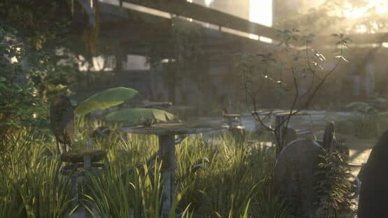Reset — screenshot 3