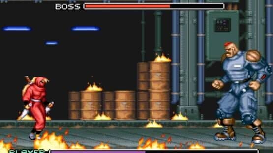Ninja Warriors — screenshot 4