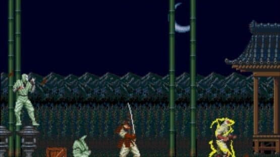 The Revenge of Shinobi — screenshot 2