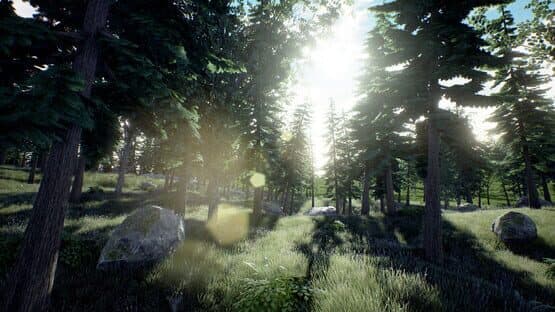 The Lost Island — screenshot 5