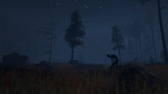 Through the Woods — screenshot 2