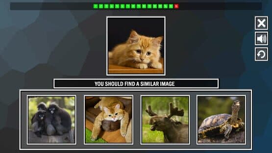 Repeat the image: Animals — screenshot 4