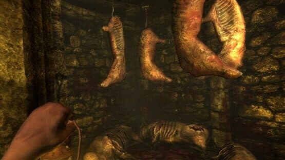 Amnesia: Collection — screenshot 1