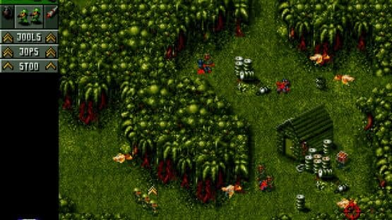 Cannon Fodder — screenshot 2