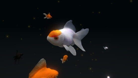 VR Aquarium Miyabi — screenshot 1