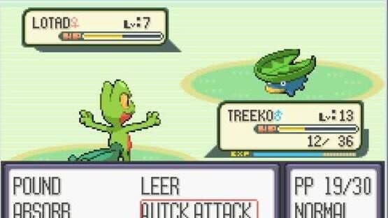 Pokémon Ruby Version — screenshot 2