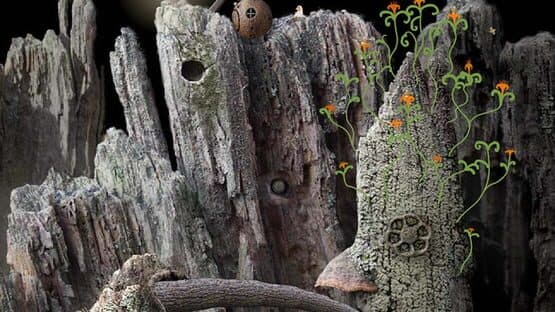 Samorost — screenshot 2