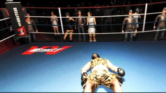 Boxing Saga — screenshot 4
