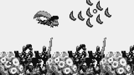 Donkey Kong Land III — screenshot 1
