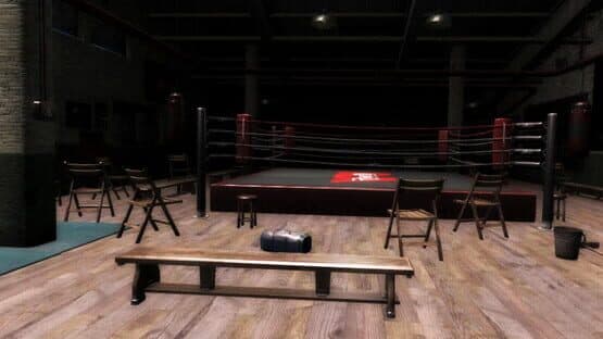 Boxing Saga — screenshot 3