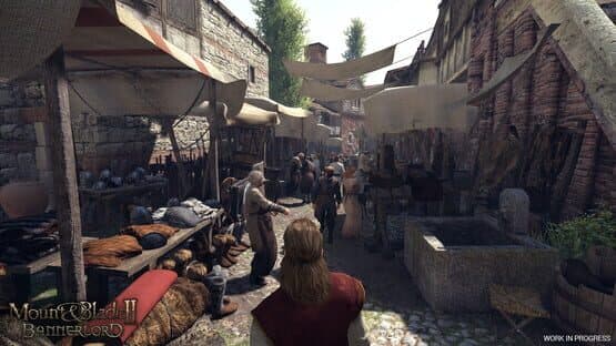Mount & Blade II: Bannerlord — screenshot 5