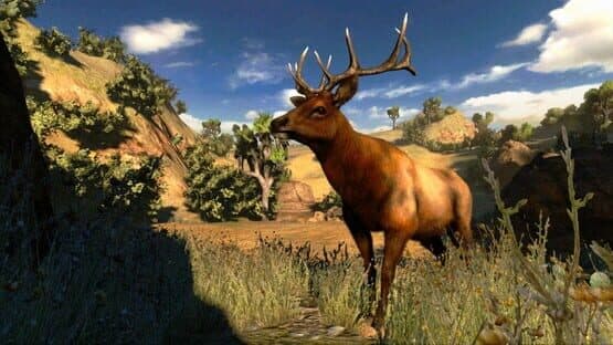 Cabela's Hunting Expeditions — screenshot 1