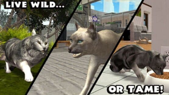 Ultimate Cat Simulator — screenshot 3