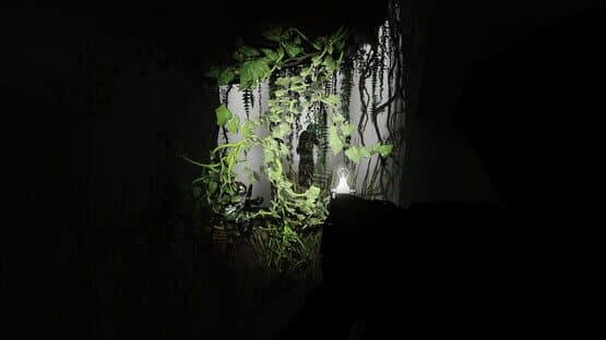 Mist of the Dark — screenshot 1