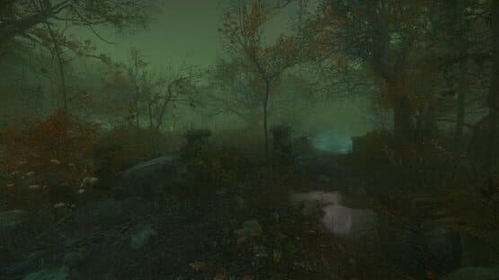 The Cursed Forest — screenshot 1