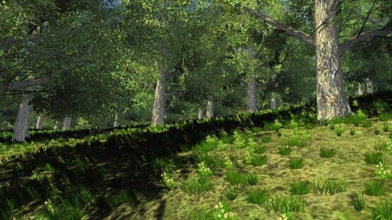Trials of Wilderness — screenshot 1