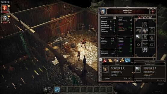 Divinity: Original Sin — screenshot 1
