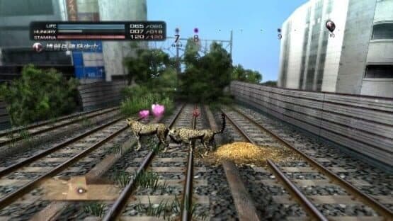 Tokyo Jungle — screenshot 5
