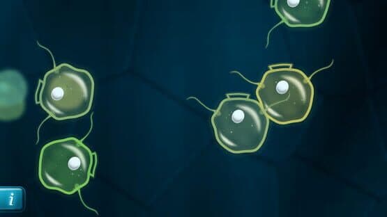 Mitosis — screenshot 2
