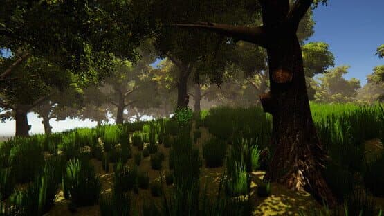 Uncanny Islands — screenshot 2