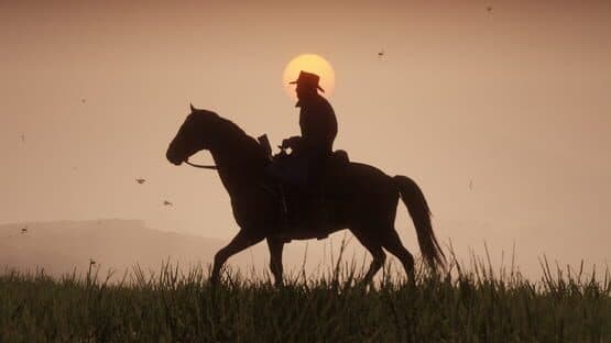 Red Dead Redemption 2 — screenshot 6