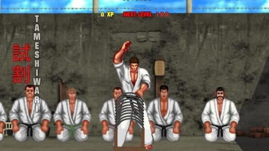 Karate Master 2 Knock Down Blow — screenshot 3