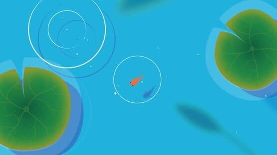 Koi — screenshot 5