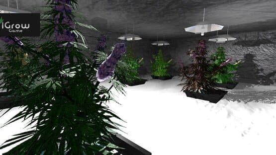 iGrow Game — screenshot 1