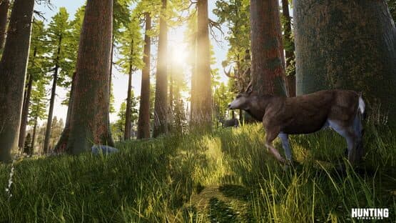 Hunting Simulator — screenshot 1