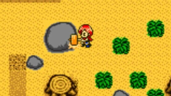 Harvest Moon 2 GBC — screenshot 4