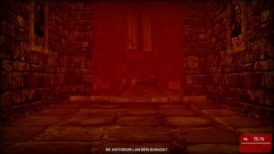 Murder Diaries: Ankara — screenshot 1