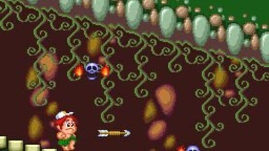 New Adventure Island — screenshot 5