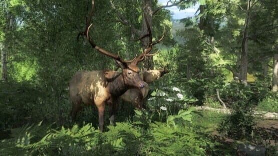 TheHunter Classic — screenshot 1