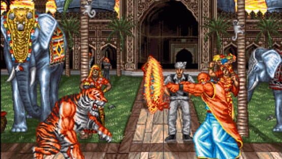 Fightin' Spirit — screenshot 3