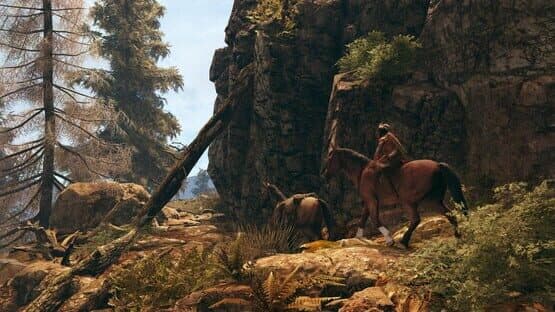This Land Is My Land — screenshot 3