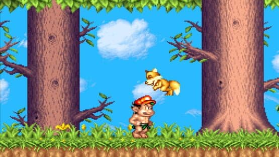 Super Adventure Island II — screenshot 1